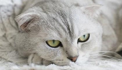 多多28模拟器-开云体育：让热爱变成行动的全场景体育生活